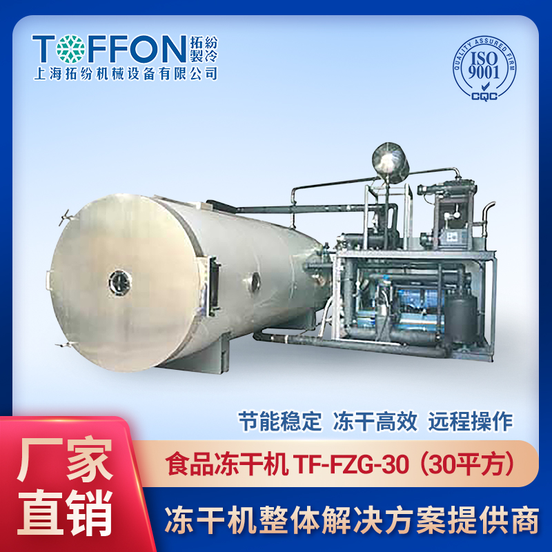 蔬菜凍干機 香菜冷凍干燥機 素菜汁凍干機 胡蘿卜丁凍干機  TF-FZG-30 拓紛30平方食品級生產型凍干機