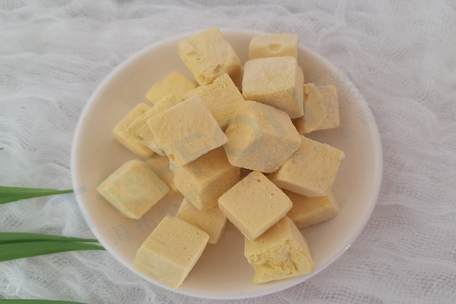芒果酸奶塊凍干：食品冷凍干燥機在水果酸奶塊凍干加工優勢