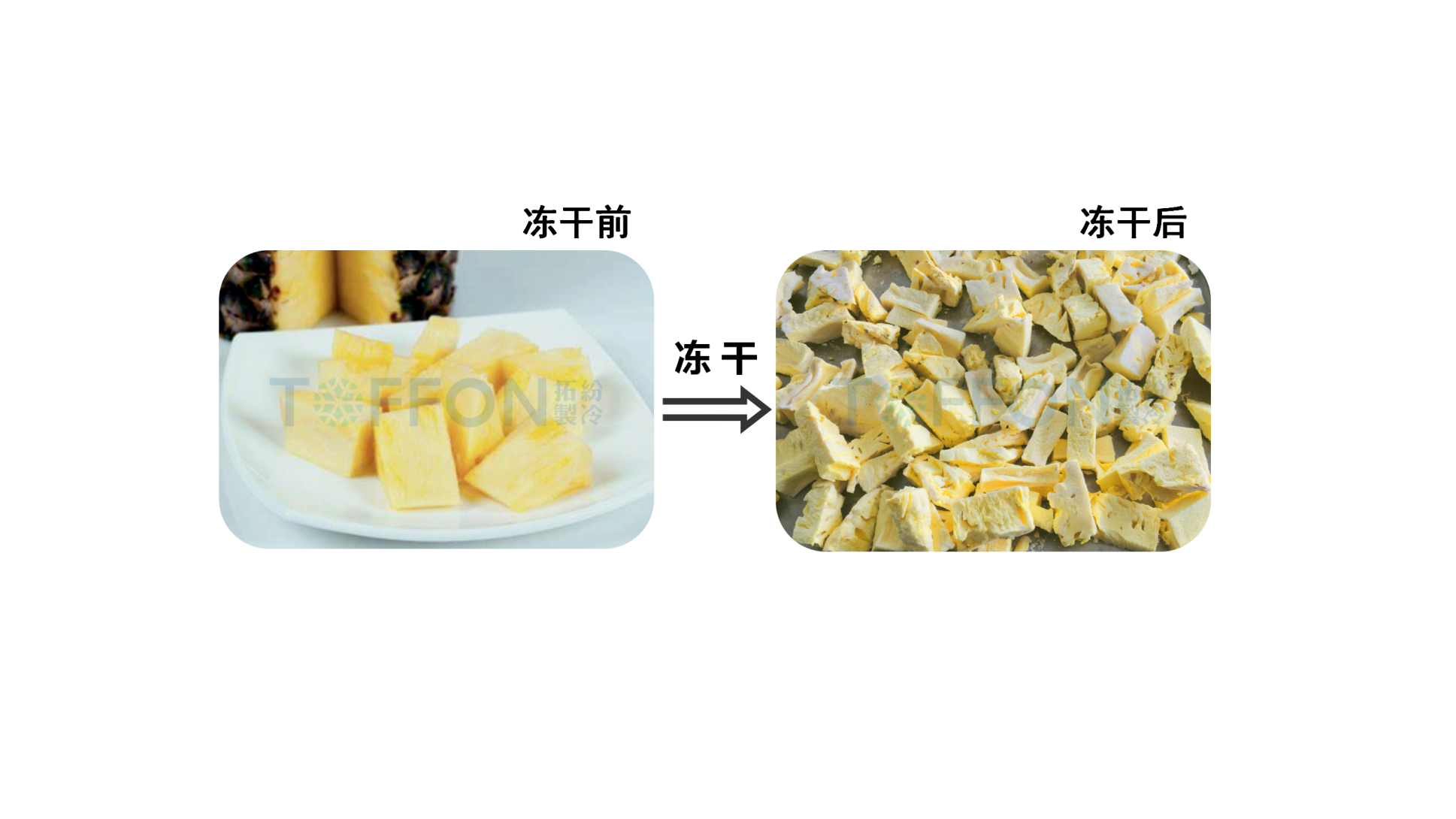 圖片 2.png