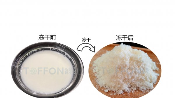 ? 凍干機制作凍干馬奶的優勢
